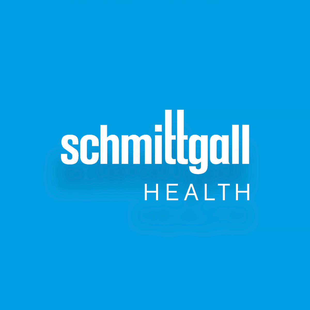 schmittgall_t4v_partner